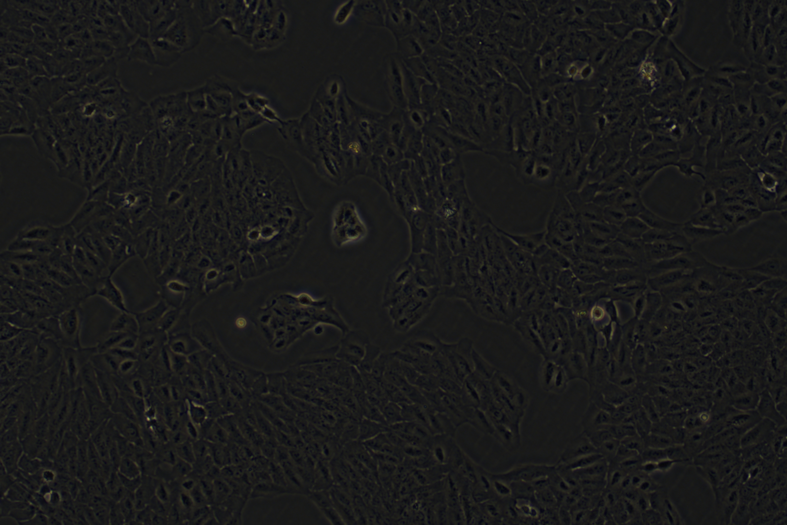 =